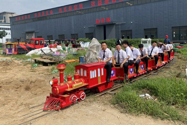 mini ride on train set for adults