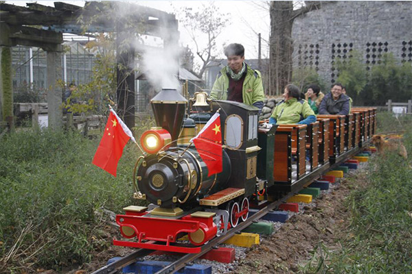 adult ride on train and tracks